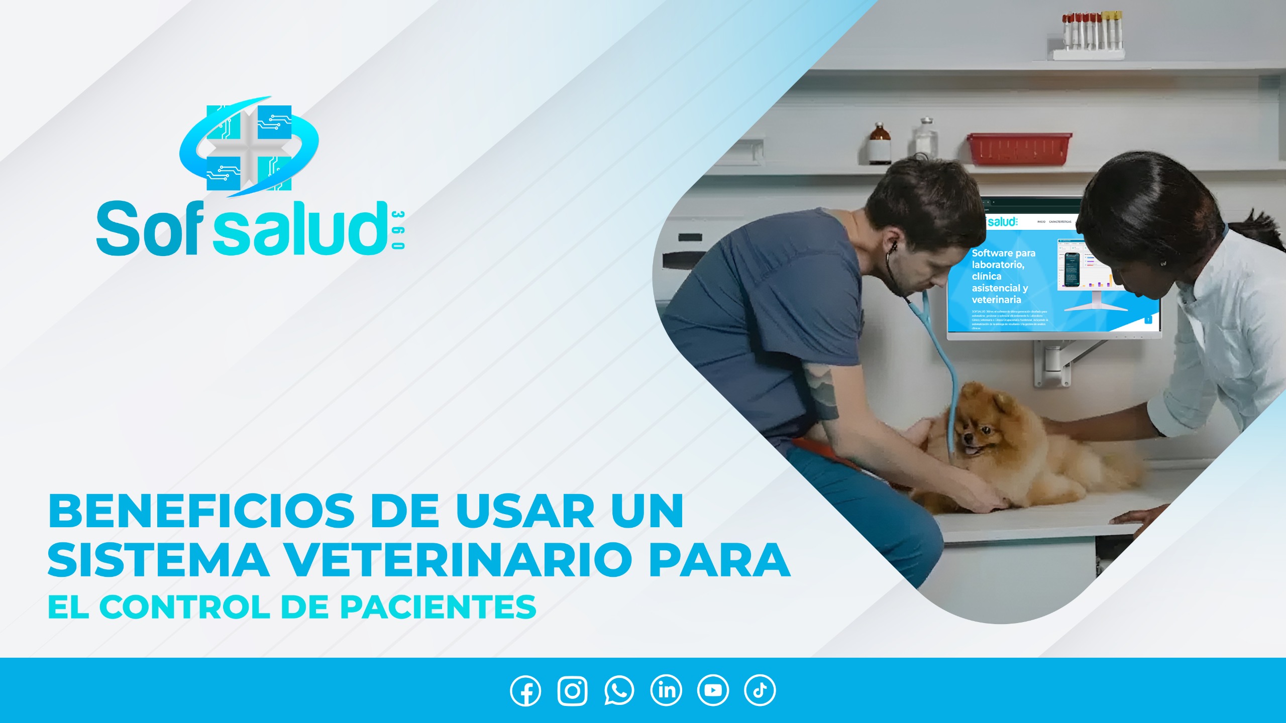 Beneficios de usar un sistema veterinario para el control de pacientes
